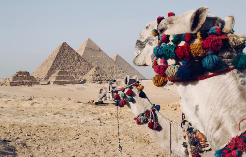 Odsprzedam wakacje | Egipt | Zwiedzanie i odpoczynek | 2 osoby | 4-19.04